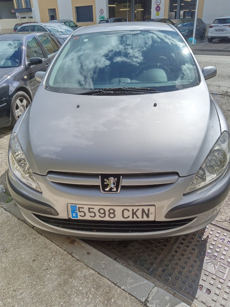 Peugeot 307 2004cam - foto 1