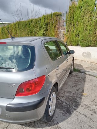 Peugeot 307 2004cam
