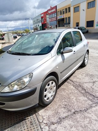 Peugeot 307 2004cam