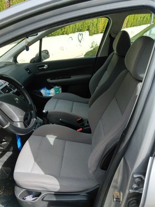 Peugeot 307 2004cam