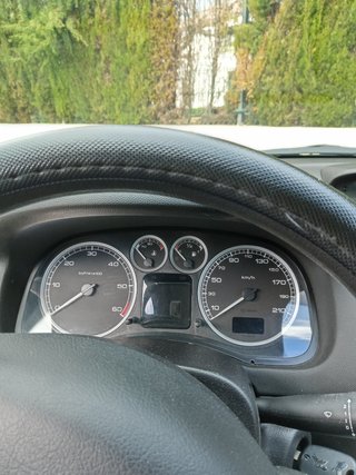 Peugeot 307 2004cam