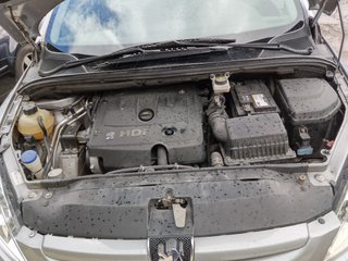 Peugeot 307 2004cam