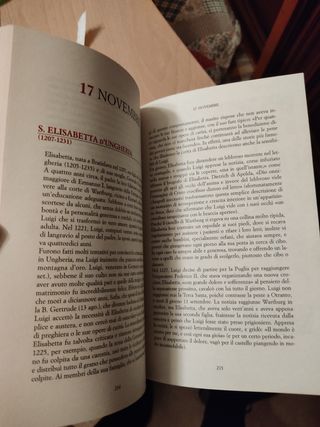 Raccolta libri Bibbia e Santi completa
