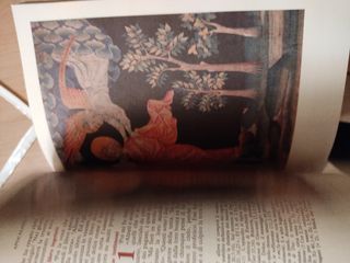Raccolta libri Bibbia e Santi completa