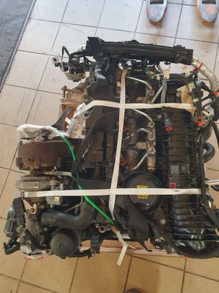 motor 204DTD