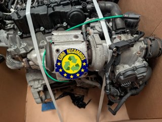 motor 204DTD