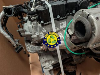motor 204DTD