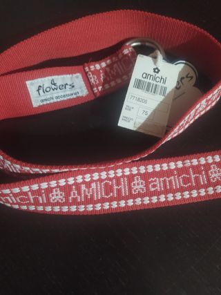 Cinturón amichi