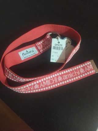 Cinturón amichi