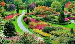 Jardinero para mantenimiento