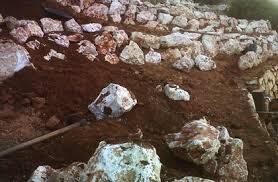 Jardinero para mantenimiento