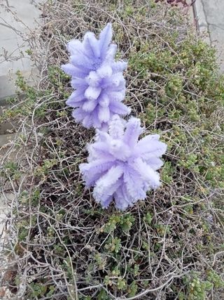 Flores imitación handmade