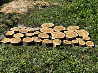 JARDINERO - MANTENIMIENTOS Y JARDINES