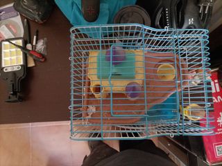 Jaula hamster pequeña