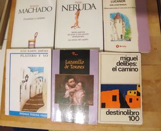 (1) CLÁSICOS LECTURA OBLIGATORIA /PROSA/POESÍA