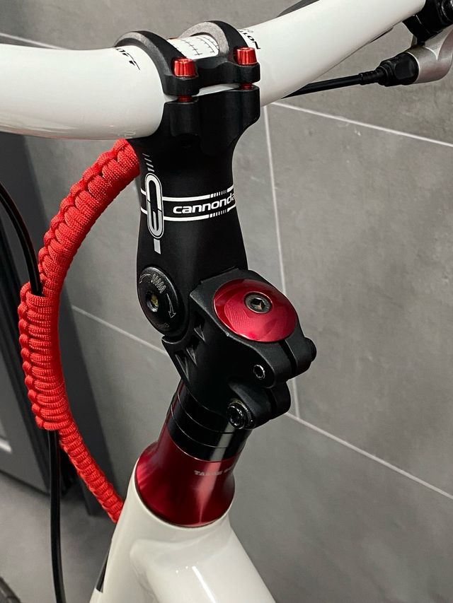 BICICLETA CANNONDALE HOOLYGAN