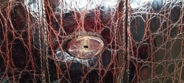 Borsa da donna anni 40-50 in pelle di coccodrillo.