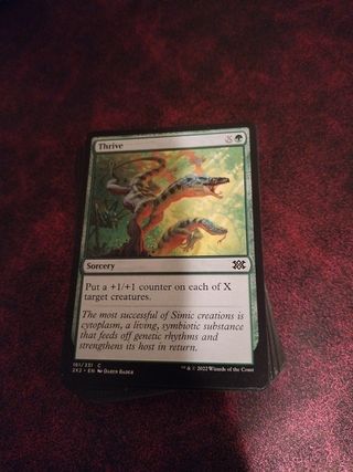 Carte Magic the gathering