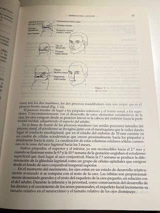 Libro guiones de Oftalmología. JC Pastor Jimeno