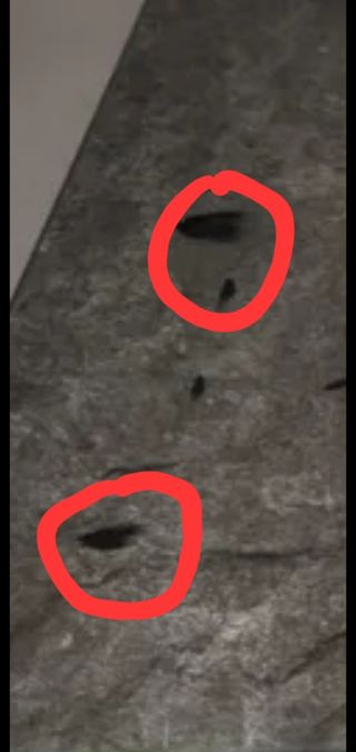 Cubre vitrocerámica cristal