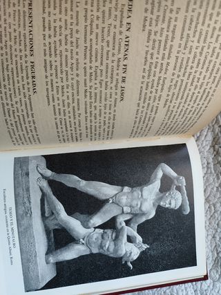 Nueva mitología griega y romana, Musa