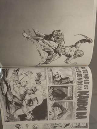 KA-ZAR el salvaje, obra completa