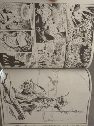 KA-ZAR el salvaje, obra completa