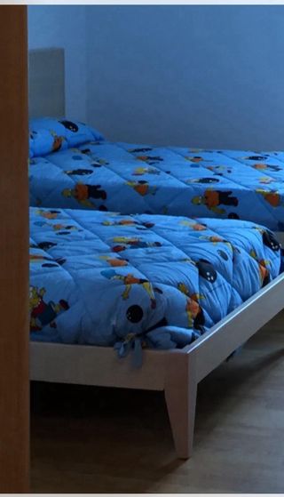 DOS EDREDONES CAMA 105cm