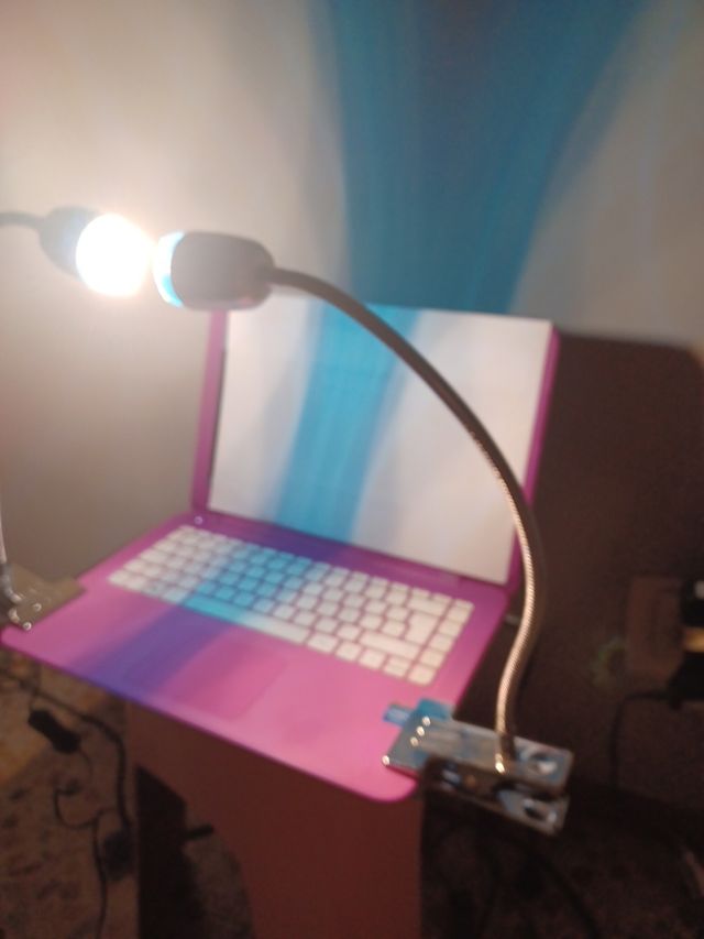 Juego de 2 Lámparas lectura con clip.