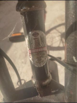 bicicleta bianchi slalom edicion limitida