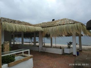 Sombrillas y pergolas de brezo mimbre