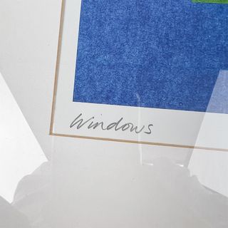 Cuadro Windows de Jacqui Hearn para Ikea, 1999