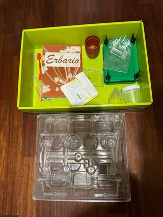 gioco creativo La scienza nella serra