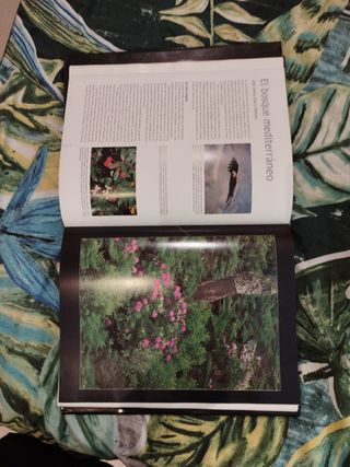 La naturaleza de España - Ministerio MA
