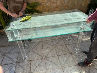 Mostrador de cristal