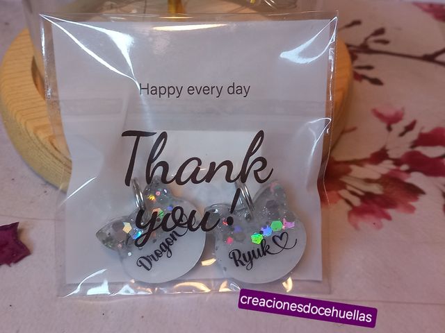 Placas identificativas para gatos