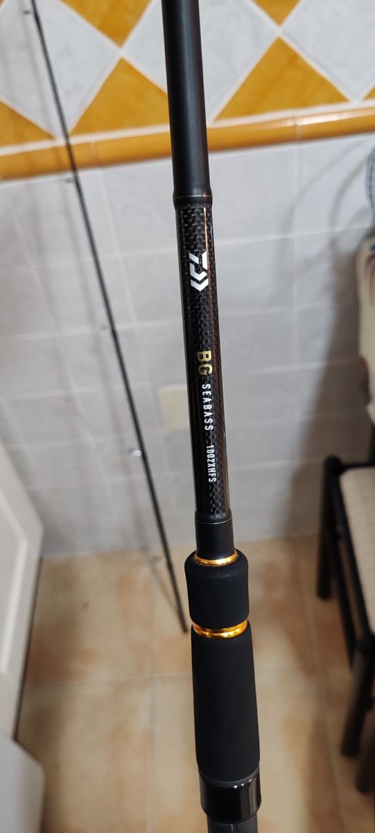 Caña spinning medio Daiwa BG