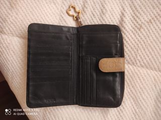 Cartera de dinero 