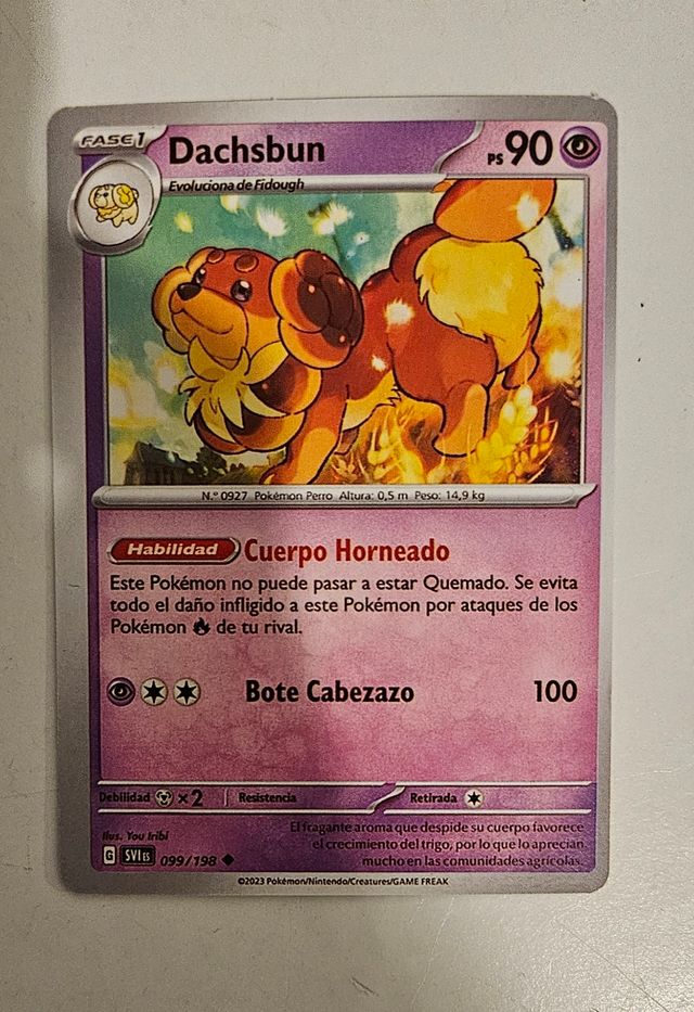 Cartas pokemon