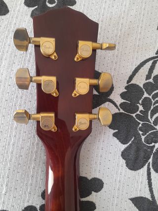 Guitarra electro acústica Fender Gdc 200