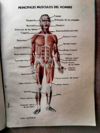 Libro escuela antiguo Ciencias Cosmológicas I. 