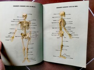 Libro escuela antiguo Ciencias Cosmológicas I. 