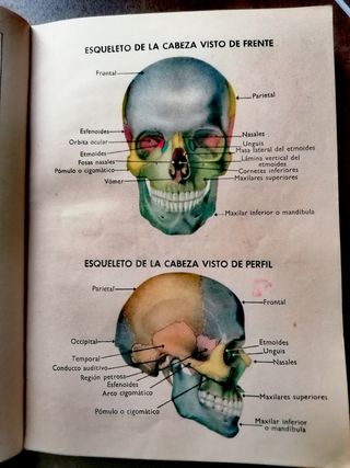 Libro escuela antiguo Ciencias Cosmológicas I. 