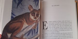 El mundo de los animales. Libro