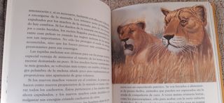 El mundo de los animales. Libro