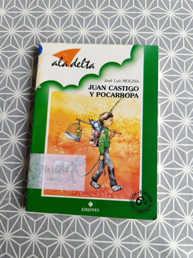 Libro Juan castillo y pocarropa