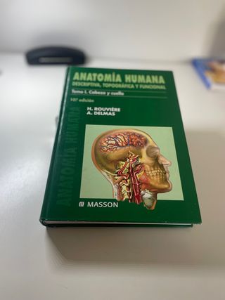 Anatomia Humana Rouviere
