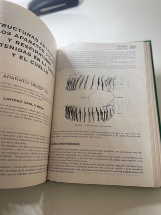 Anatomia Humana Rouviere