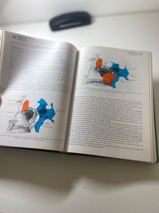 Anatomia Humana Rouviere