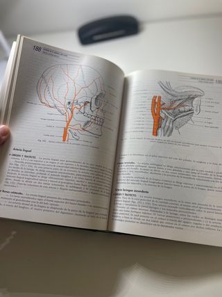 Anatomia Humana Rouviere